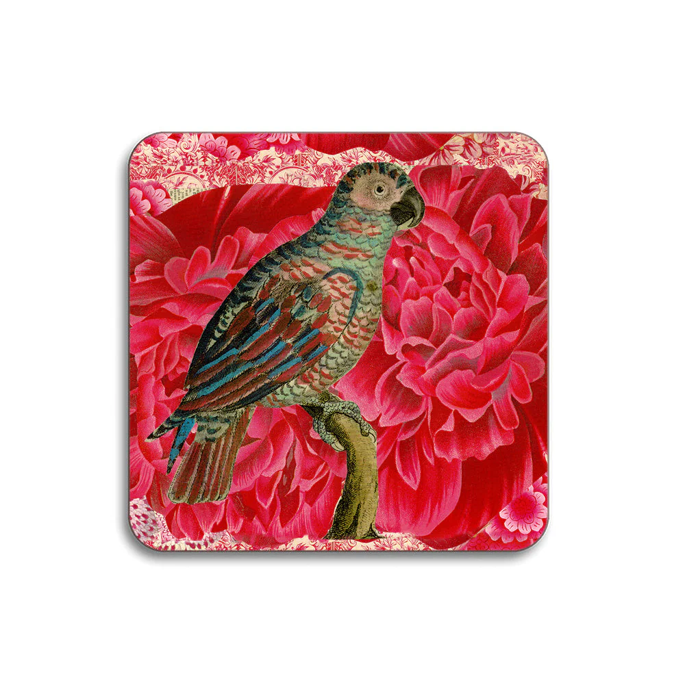 Animal Design Table Mats & Coasters - Image 5