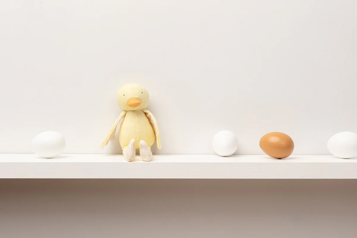 Charlie the Chick Soft Toy - Image 4
