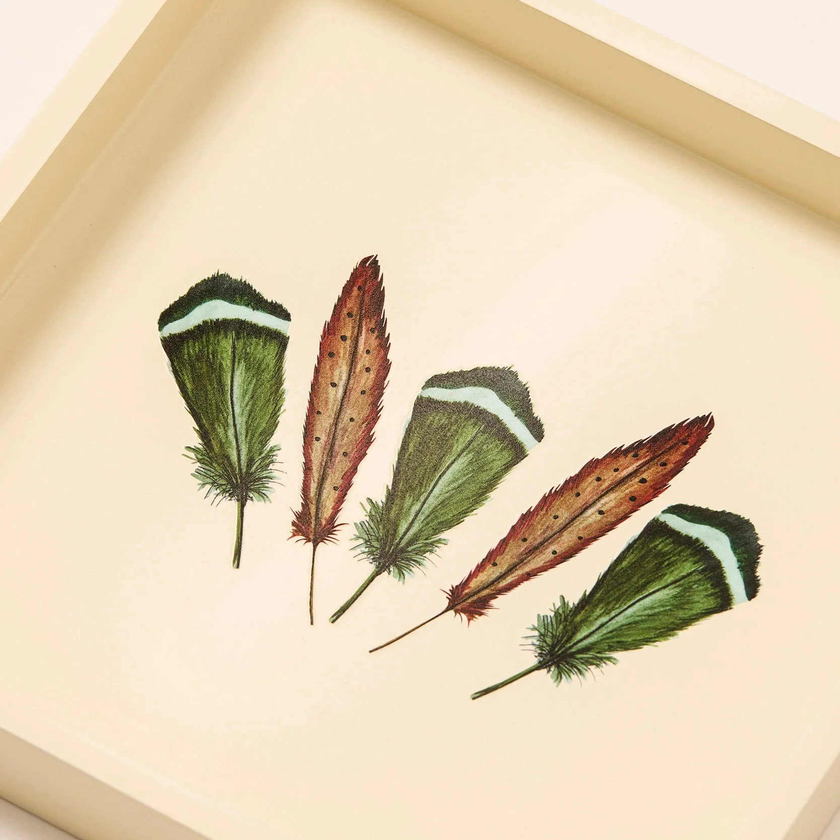 Feather Design Lacquer Tray - Image 3